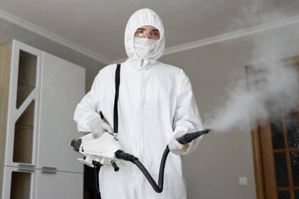 Biohazard Mold Removal in Natchitoches, LA